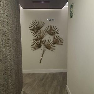 Deluxe Appartement